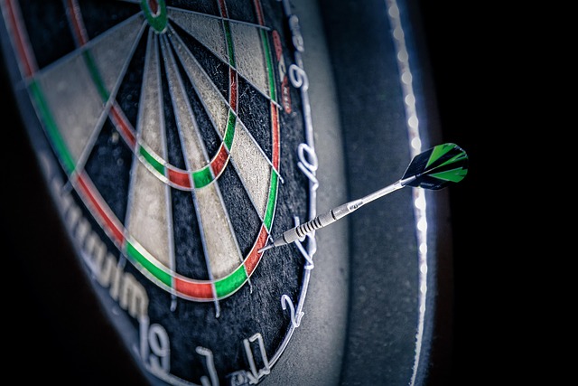 Stjernespillere og drama: Hvem løber med titlen ved årets european darts championship?